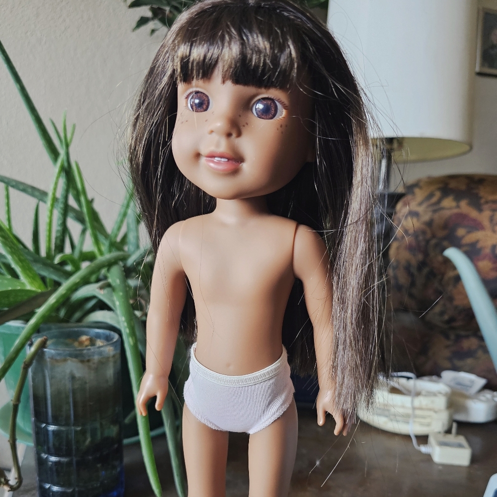 Wellie Wisher American Girl
